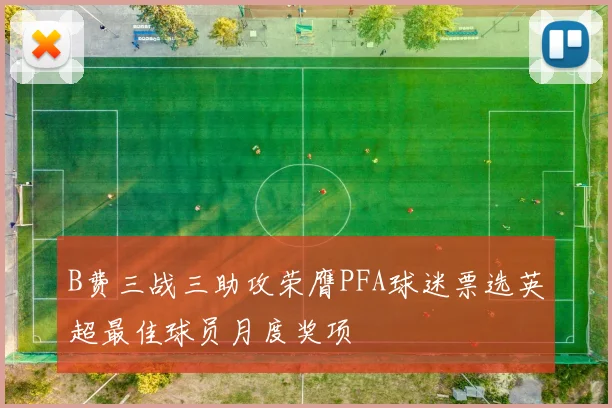 B费三战三助攻荣膺PFA球迷票选英超最佳球员月度奖项