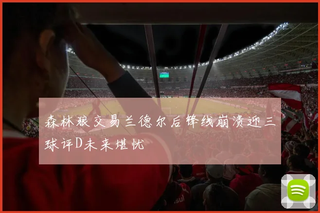 森林狼交易兰德尔后锋线崩溃迎三球评D未来堪忧